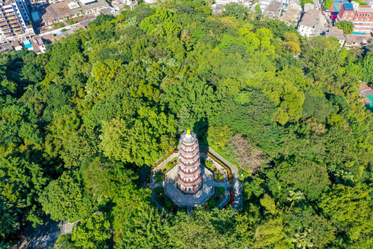 航拍廣東中山中山公園