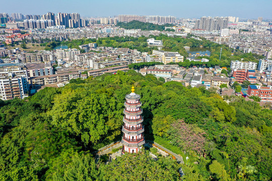 航拍廣東中山中山公園