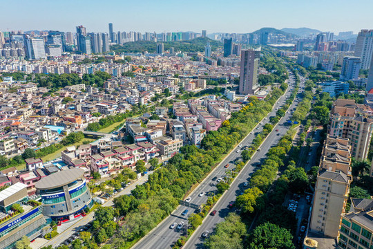 航拍廣東中山博愛路興中道街景