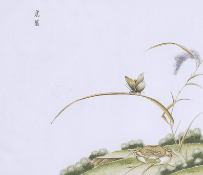 虎蟹蟲草國(guó)畫小品