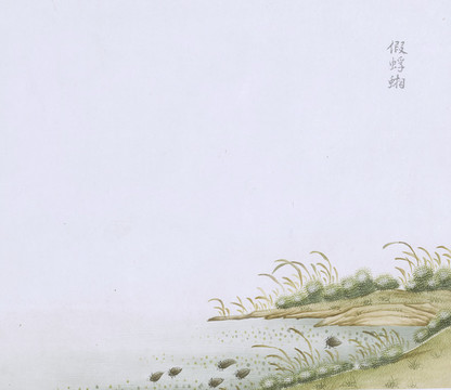 假浮游蟲草國畫小品