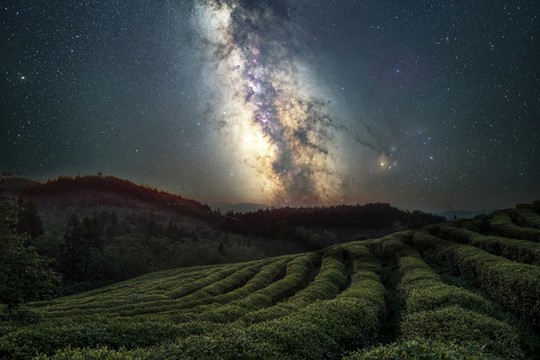 重慶武隆貢茶園星空攝影圖