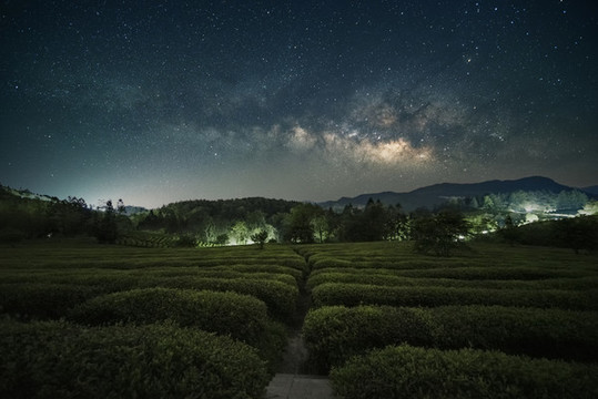 重慶武隆貢茶園星空攝影圖