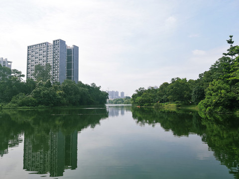 公園美景