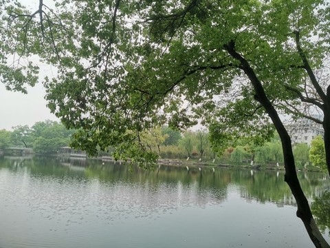 公園美景