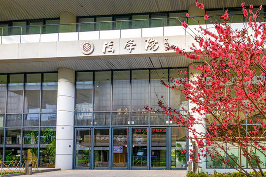 春花爛漫的北京大學(xué)法學(xué)院