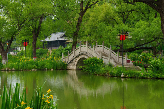 公園石橋