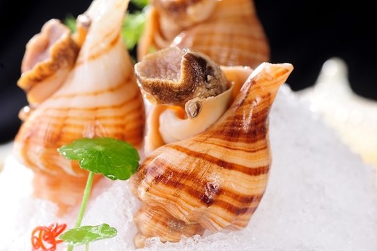 冰鎮(zhèn)凍海螺