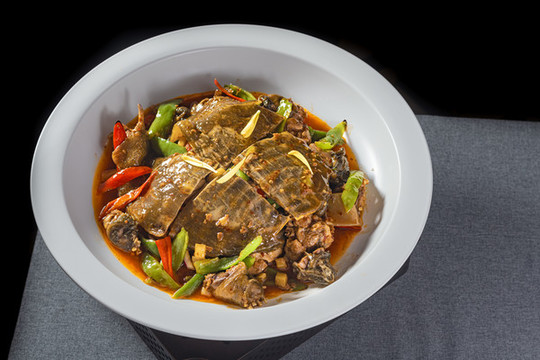 甲魚(yú)