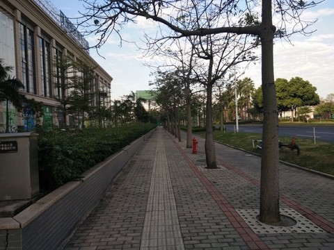 現(xiàn)代建筑