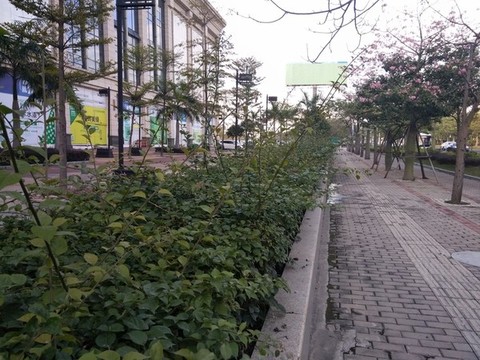 人行道