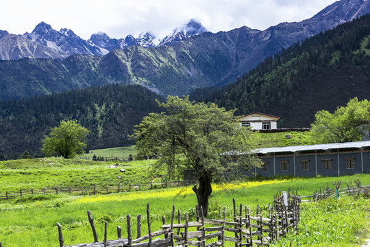 高山牧場