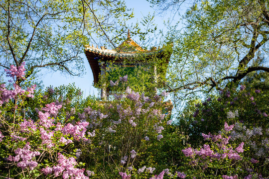 公園景色最美時