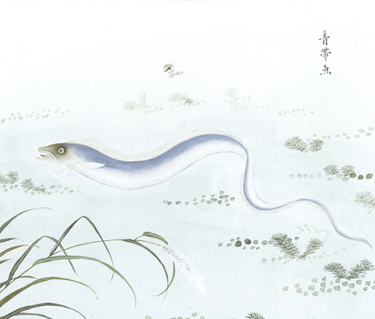 青帶魚(yú)魚(yú)國(guó)畫(huà)海洋生物手繪