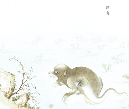 水猴子國(guó)畫魚海洋生物手繪