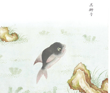 黑獅子國畫魚海洋生物手繪