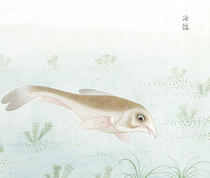 尖嘴魚國畫魚海洋生物手繪