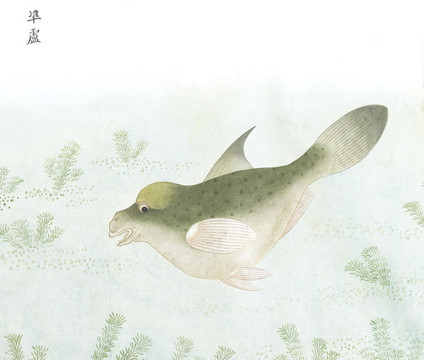 凖魚國畫魚海洋生物手繪
