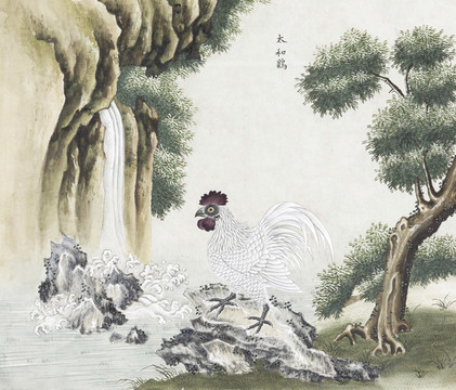 烏雞花鳥(niǎo)國(guó)畫(huà)素材插畫(huà)