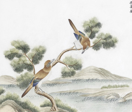 樓姜雀花鳥國畫素材插畫