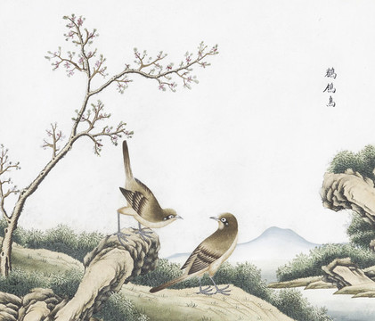 鹡鳥花鳥國畫素材插畫