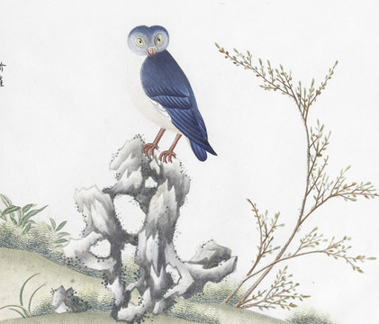 人面雀花鳥國畫素材插畫