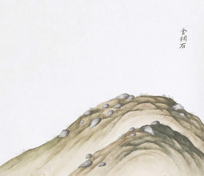 金剛石中草藥國(guó)畫(huà)礦石插畫(huà)