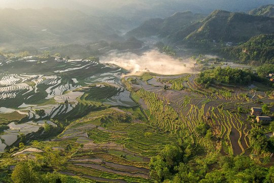 重慶市酉陽(yáng)花田梯田