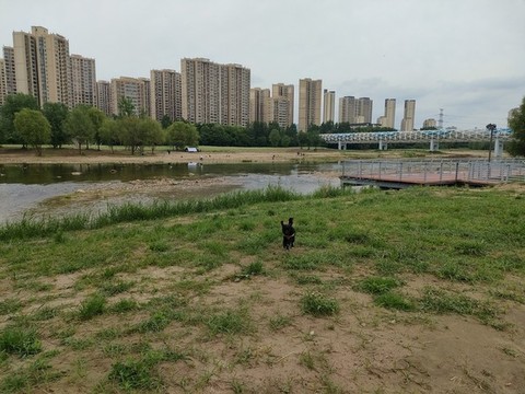 公園