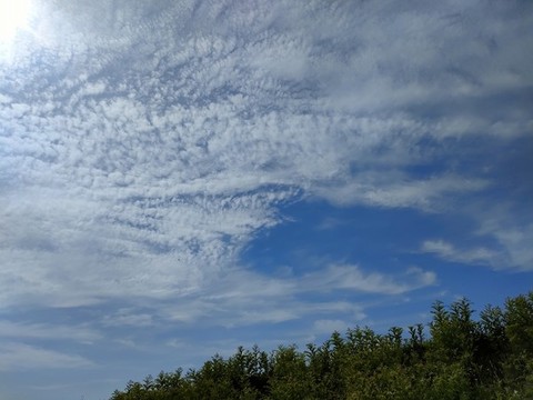 白鹿塬