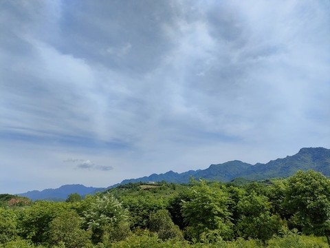 白鹿塬