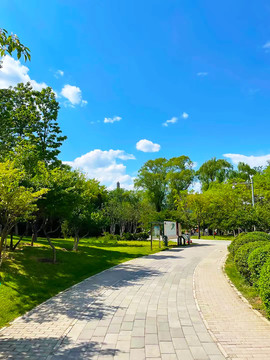 公園步道