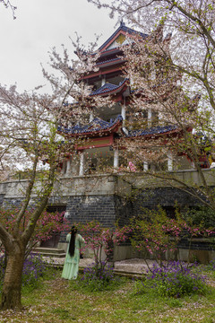 無(wú)錫黿頭渚風(fēng)景區(qū)