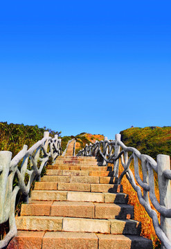 上天梯