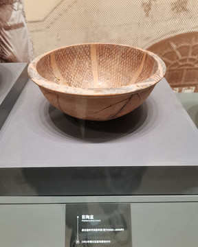 彩陶盆