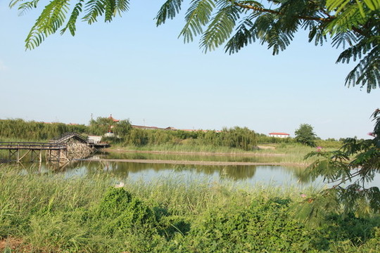下洼鎮(zhèn)