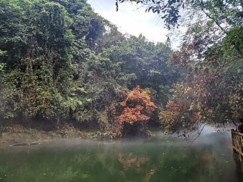 仙霧繚繞