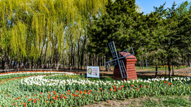 長春市長春公園春季風景