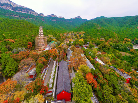 濟(jì)南靈巖寺