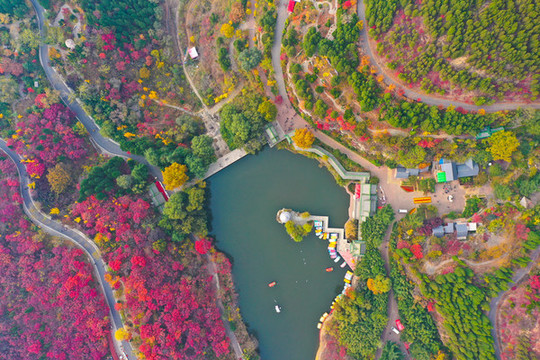 濟(jì)南紅葉谷
