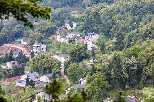 安岳鄉(xiāng)村