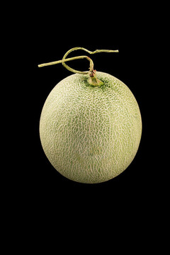 網(wǎng)紋蜜瓜