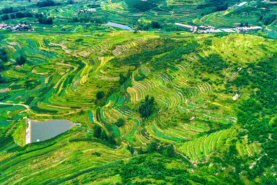 山東日照莒縣梯田