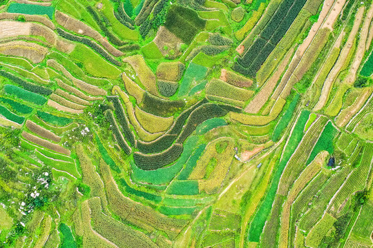 彩色梯田
