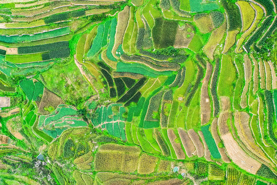 沂蒙梯田