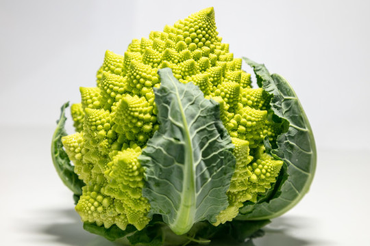 寶塔菜