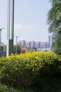 路邊樓房