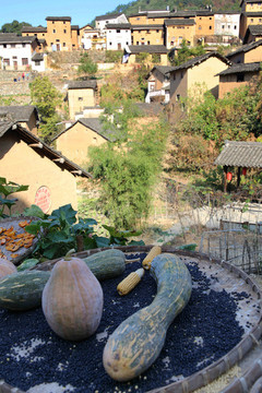 陽產(chǎn)土樓曬秋