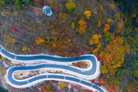 深秋山路盤山路