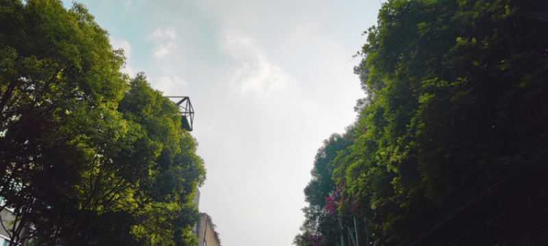 公園綠化